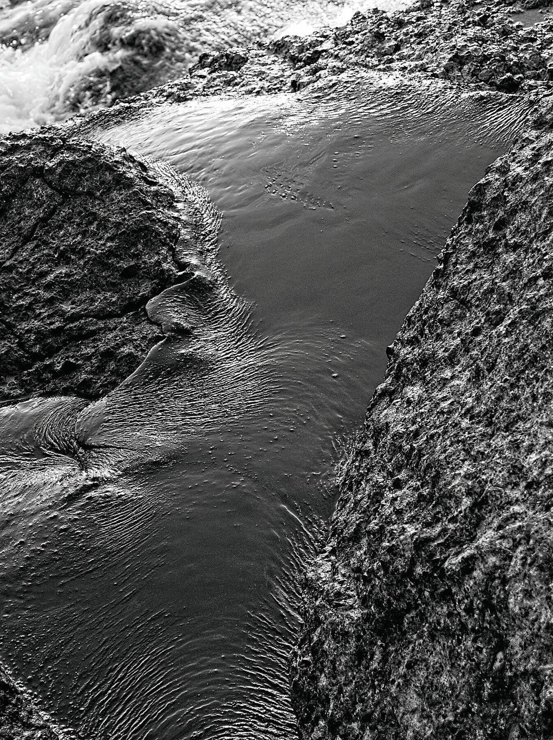 P8270519v4JPG – Schwarzweiß dunkler – C-Typ Kodak Metallic 300