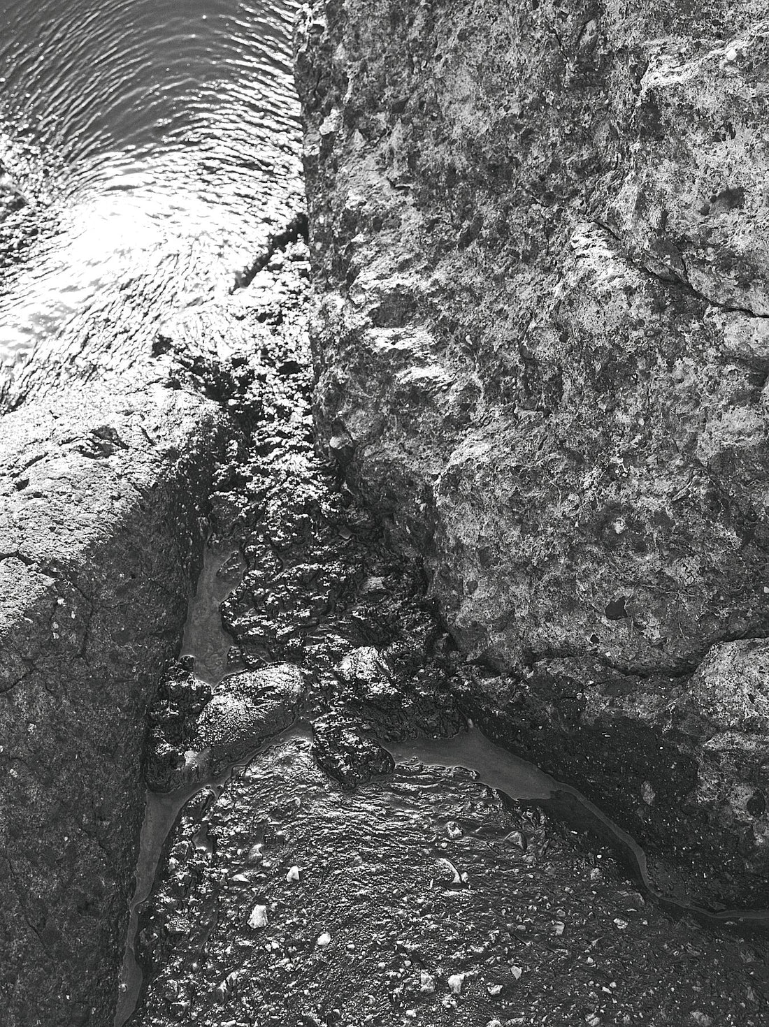 P8270529v1JPG – Schwarz-Weiß-Feuerzeug – C-Typ Kodak Metallic 300