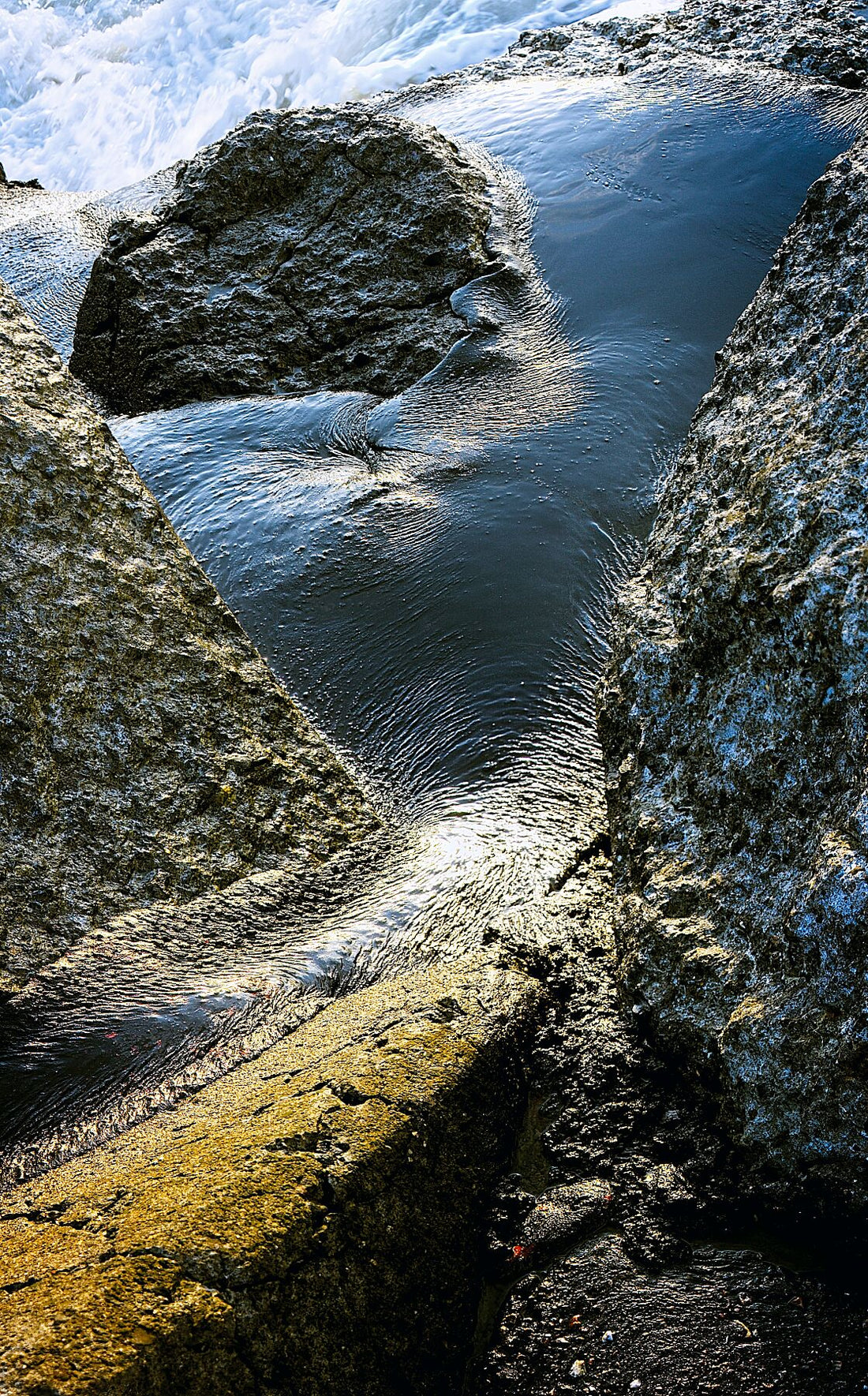Liebe Umweltverschmutzung – Vergiss mich nicht – Vollfarbe – Fudji Matt – Limitierte Auflage (1–4)