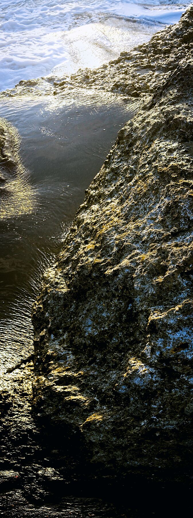Liebe Umweltverschmutzung – Vergiss mich nicht 3 – Vollfarbe drucken – Fudji Matt