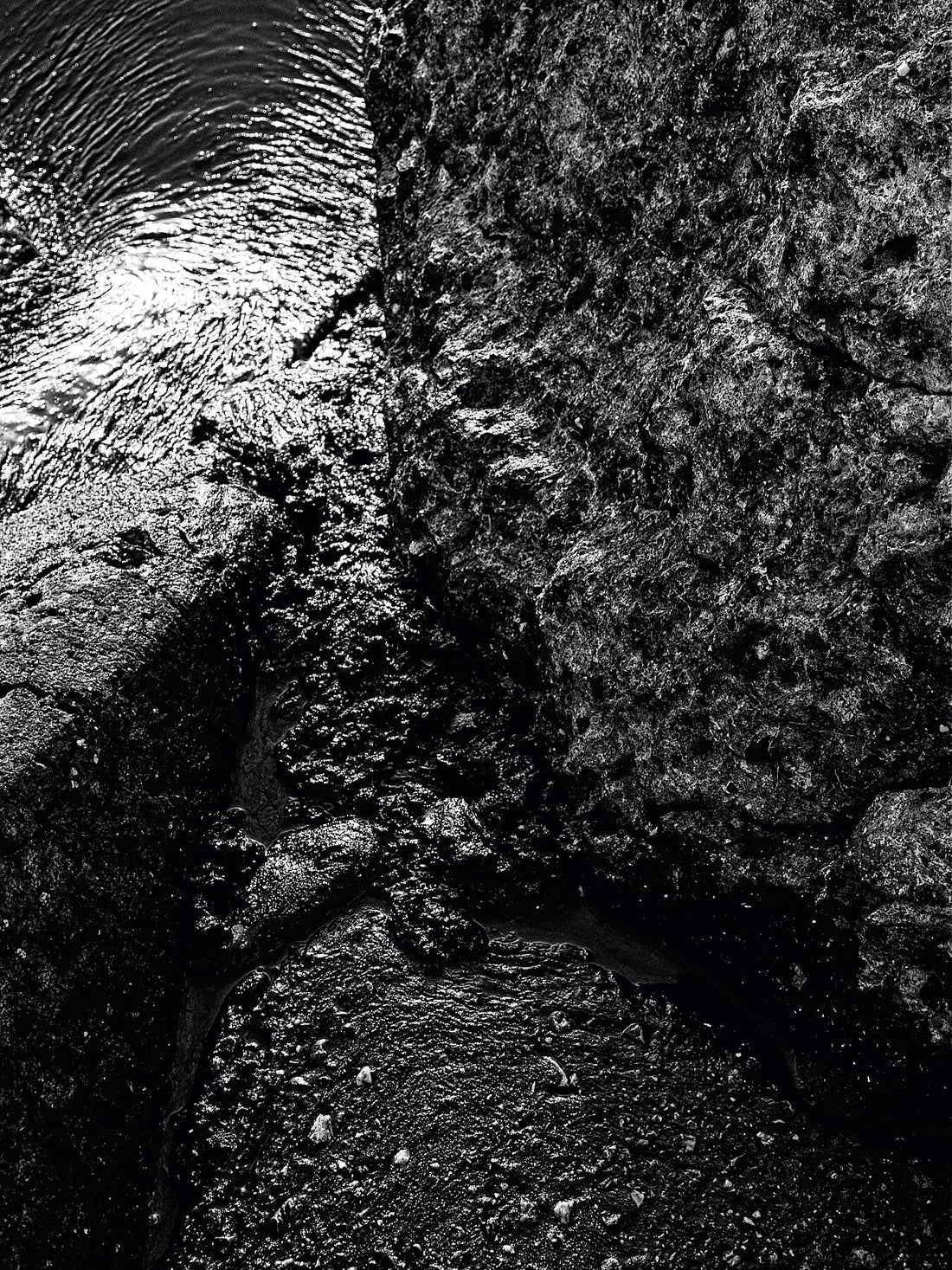 Liebe Verschmutzung - Vergiss mich nicht Detail 06- s72 - Druck BW dunkel - Fudji Flex - Limitierte Auflage (1-3)