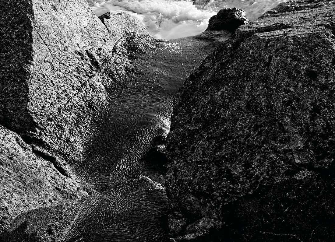 Liebe Verschmutzung – Vergiss mich nicht 2 – Print BW 2 Darker – Fudji Matt