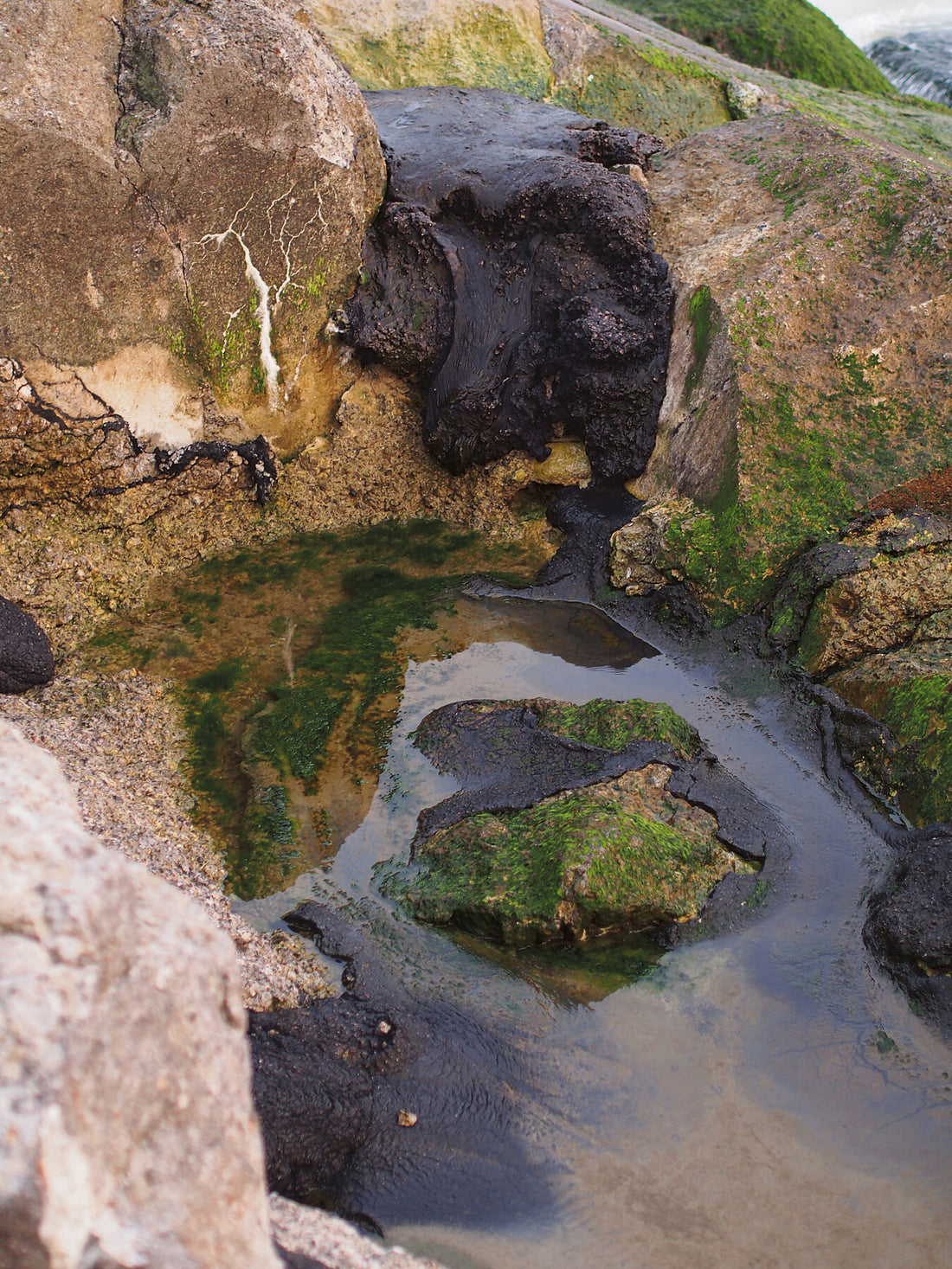 Liebe Umfrage, ich würde gerne mit Ihnen sprechen – Natur-Kultur – Vollfarb-Fotorag drucken – Giclee Hanhmemuhle Photorag