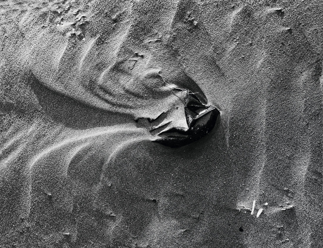 Liebe Verschmutzung – Behalten – Begraben – Haben – Verstecken Sie Ihre Maske im Sand – hellgrau (Limitierte Auflage 1–50) – Giclee Hanhemuhle Pearl – C-Type Fudji Flex