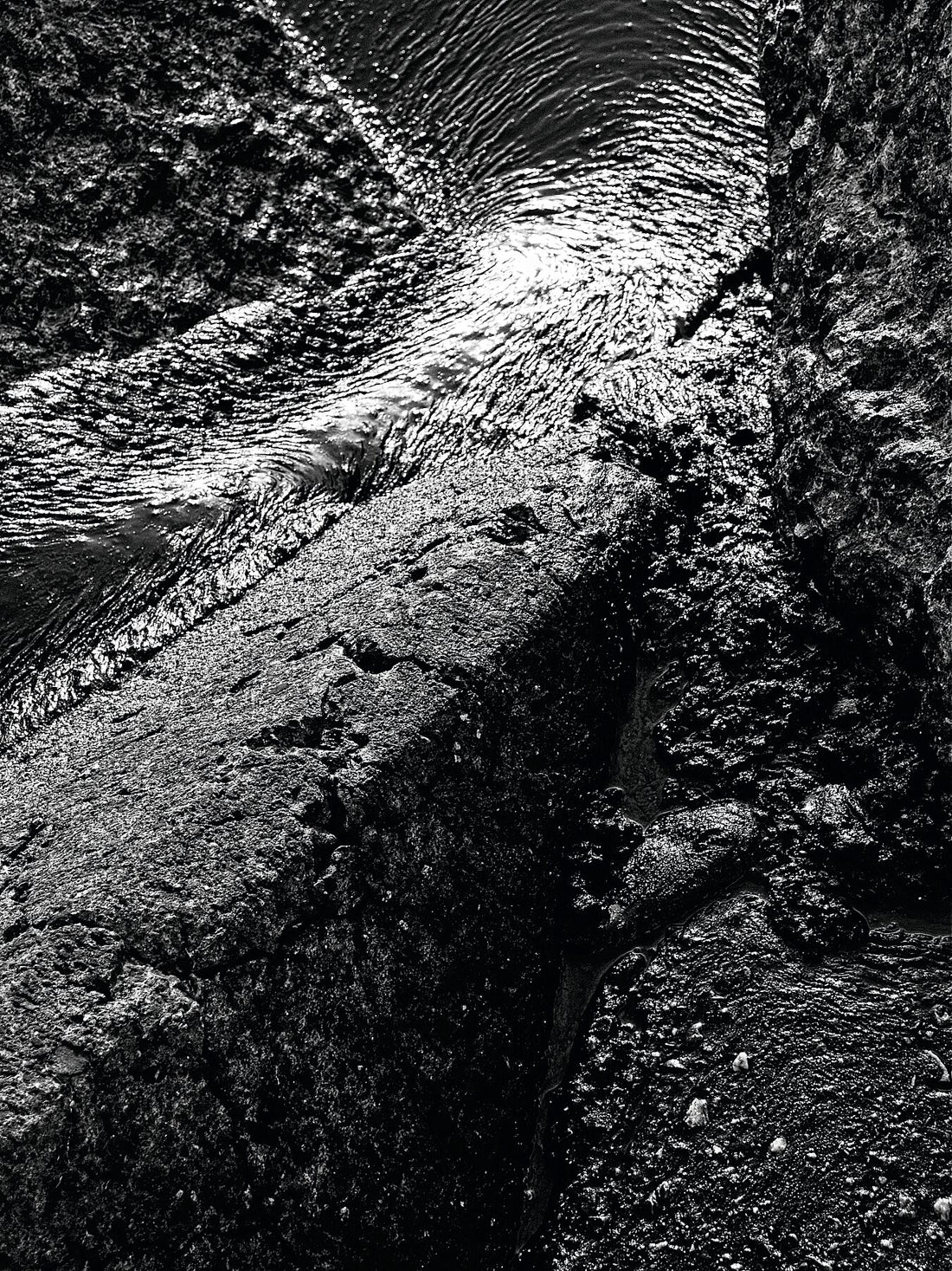 Liebe Verschmutzung - Vergiss mich nicht Detail 07- s72 - Druck BW dunkel - Fudji Flex - Limitierte Auflage (1-3)