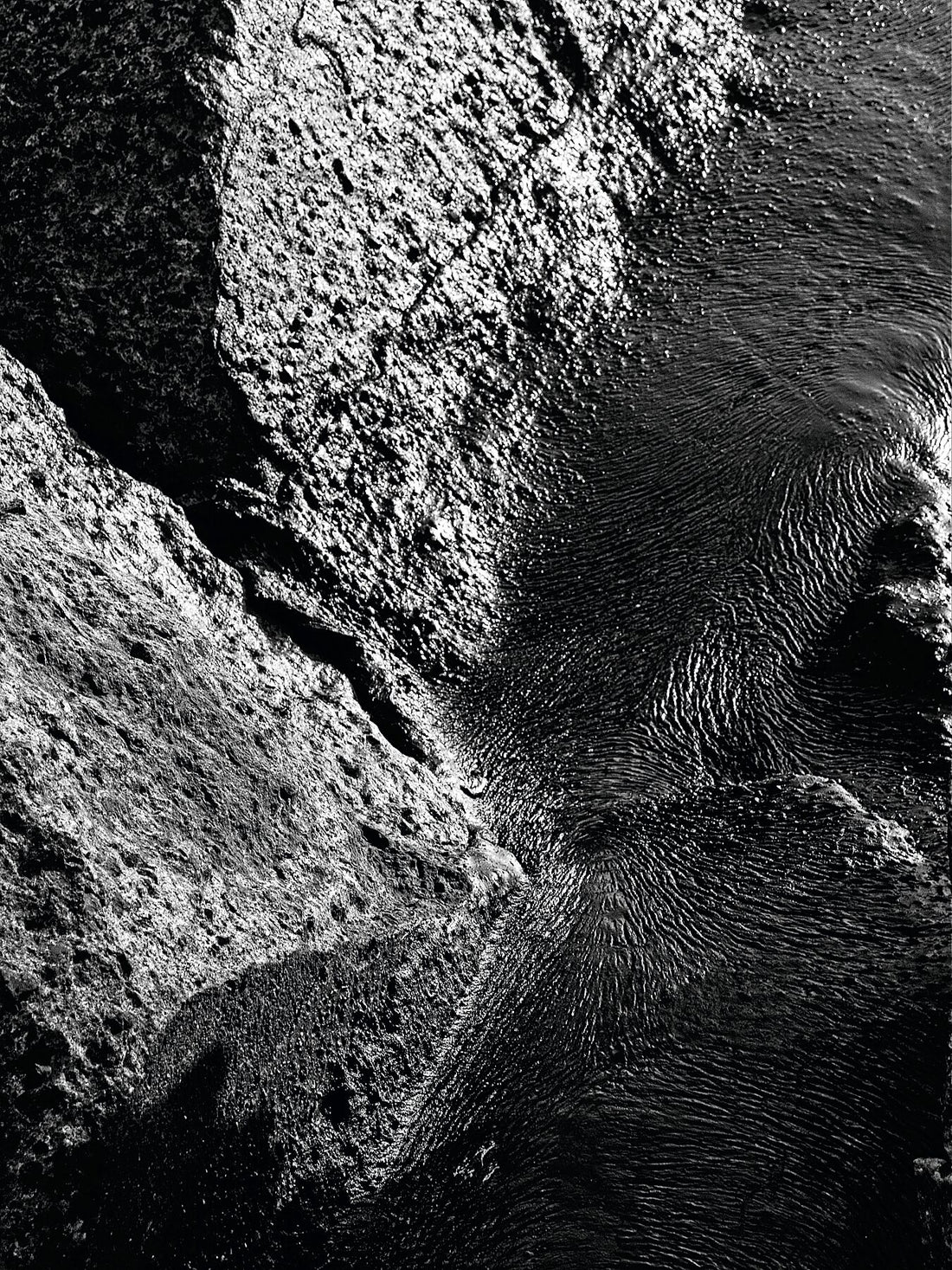 Liebe Verschmutzung - Vergiss mich nicht Detail 13 - s72 - Print BW dunkel - Fudji Flex - Limitierte Auflage (1-3)