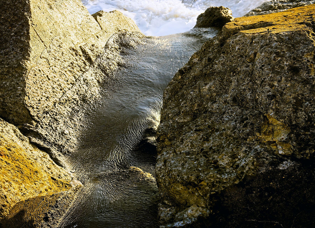 Liebe Umweltverschmutzung – Vergiss mich nicht 2 – Vollfarbe – Fudji Matt