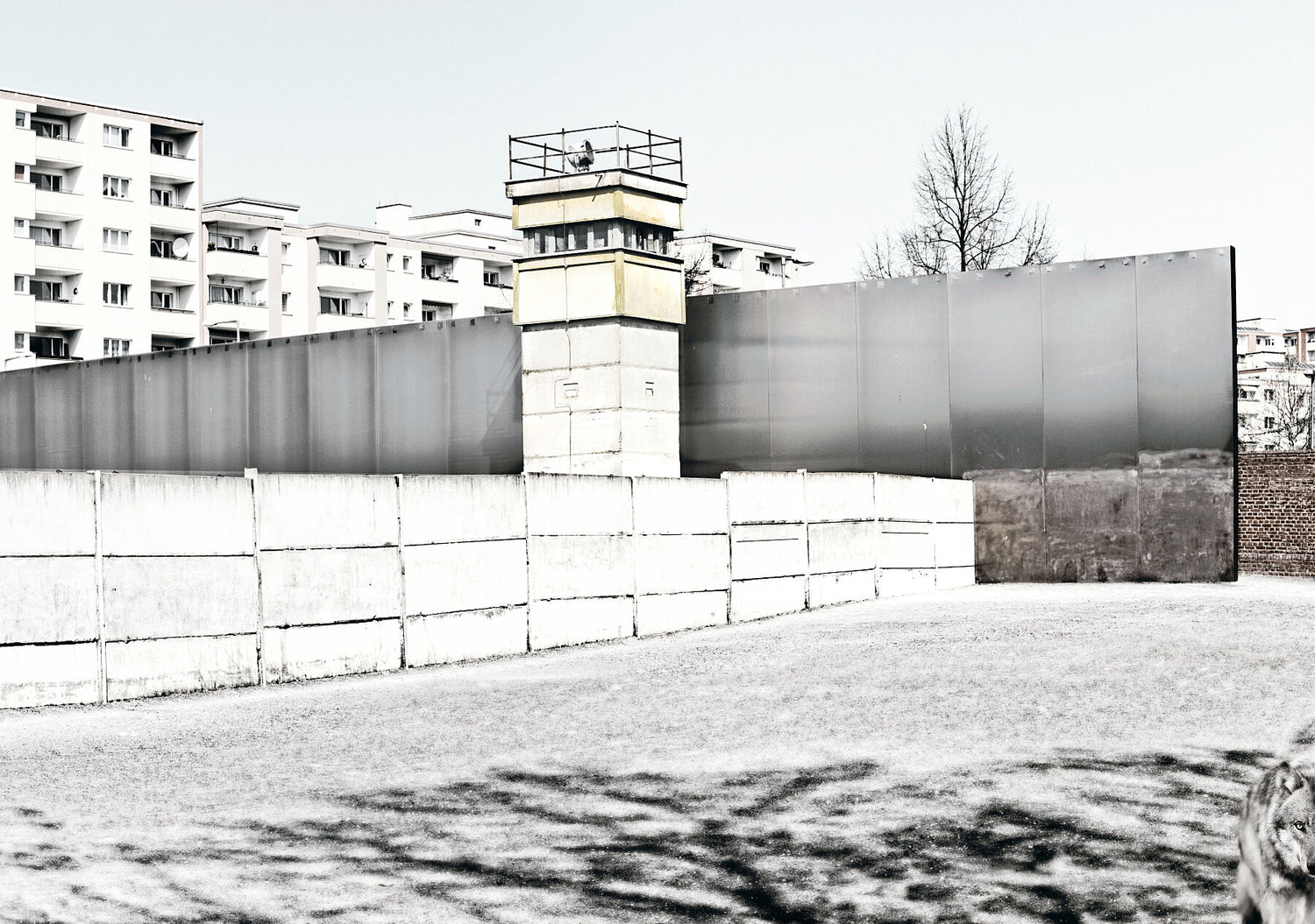 Resurgence – Berlin Wall Memorial Grounds – Project OFFSIDE – Memory 3 - Kohlhoff und Kohlhoff architects  - Print metallic Limited edition 1-30 -C-type Fudji Gloss