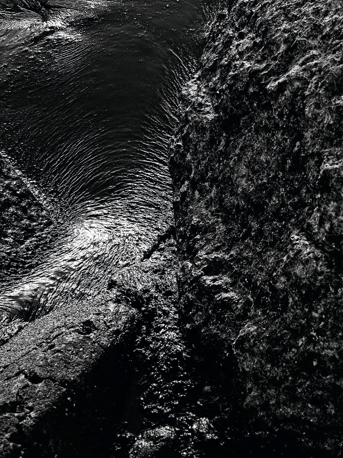 Liebe Verschmutzung - Vergiss mich nicht Detail 05- s72 - Druck BW dunkel - Fudji Flex - Limitierte Auflage (1-3)