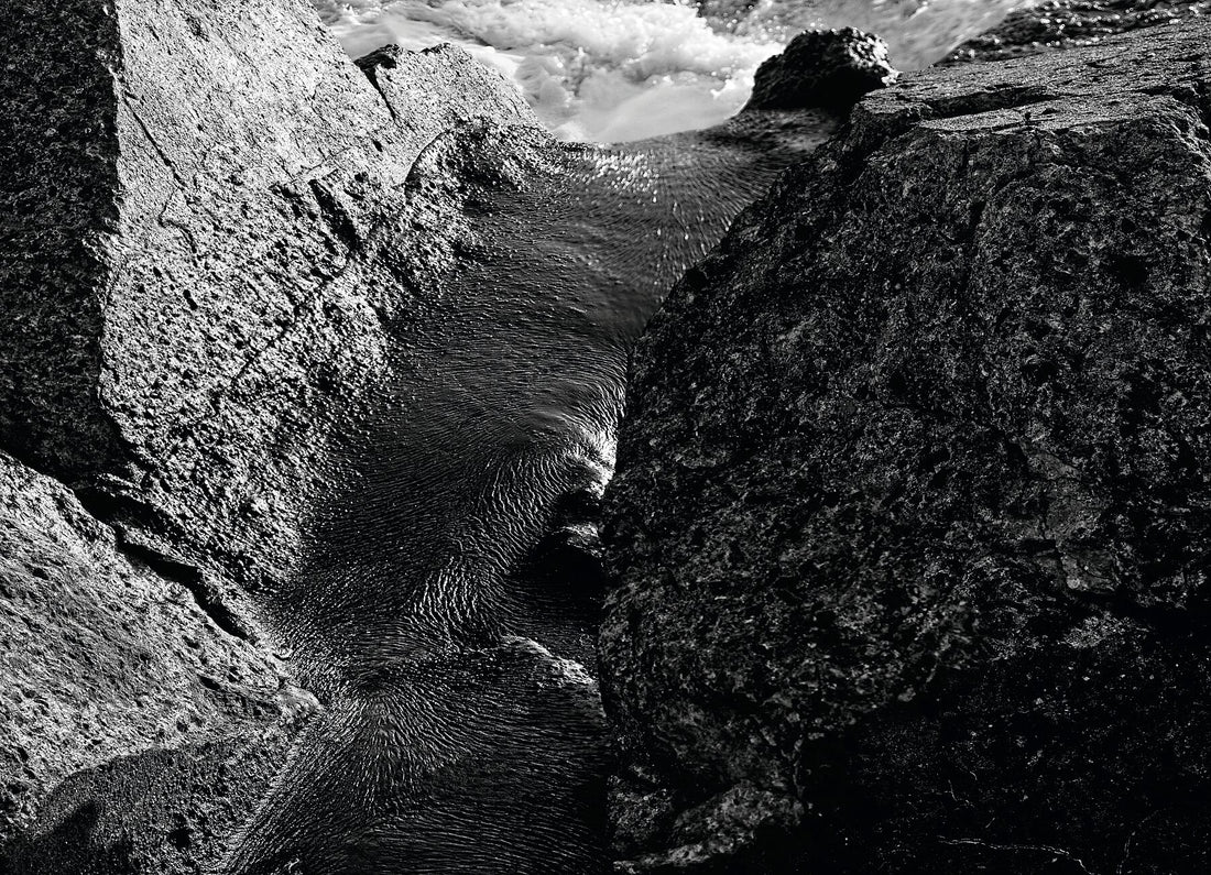 Liebe Verschmutzung – Vergiss mich nicht 2 – Print BW 2 Darker – P8270553 Panov3JPG Fudji Flex