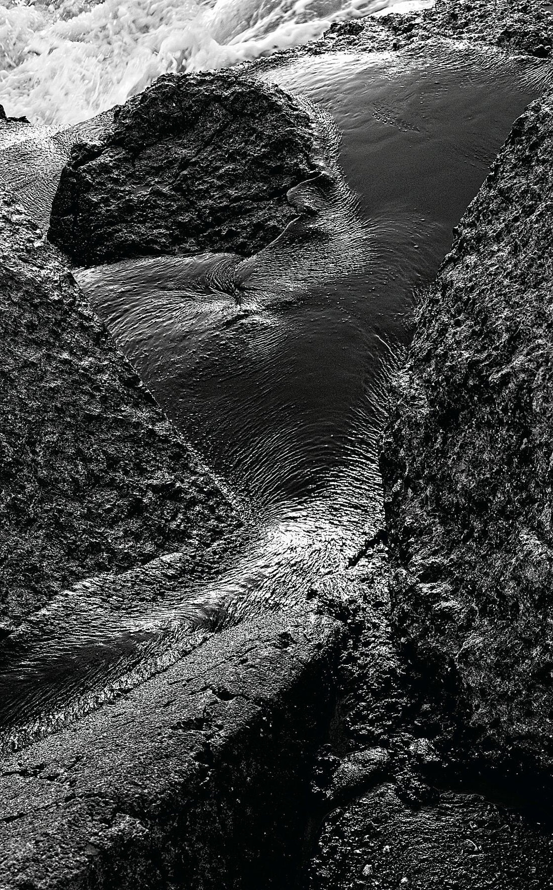 Liebe Umweltverschmutzung – Vergiss mich nicht – Schwarz und Weiß dunkler – Fudji Matt